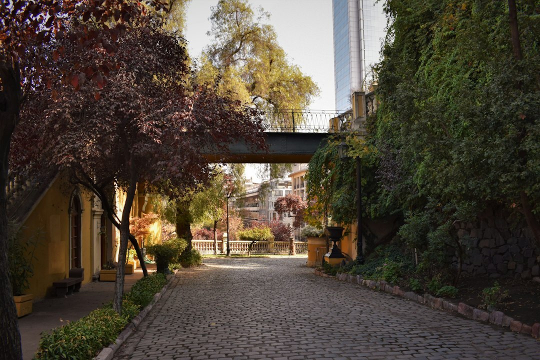 Old residential neighborhood street in Santiago, Chile